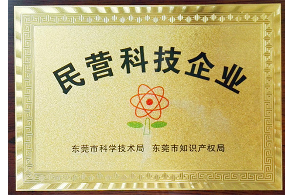 民營科技企(qǐ)業